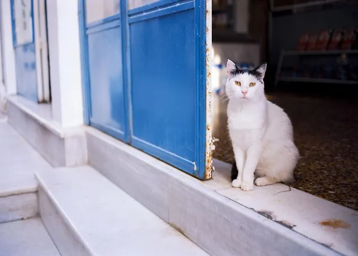 Superb Naxos Triple Semi-basement Private Balcony Naxos City